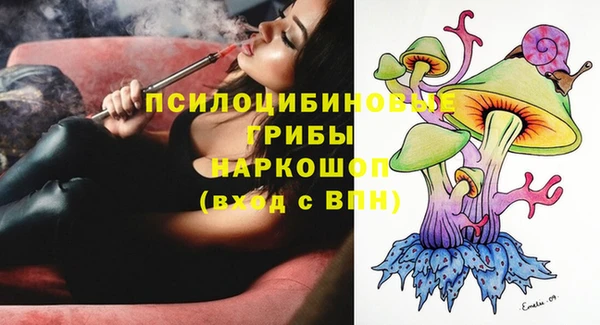 ГАЛЛЮЦИНОГЕННЫЕ ГРИБЫ Кодинск